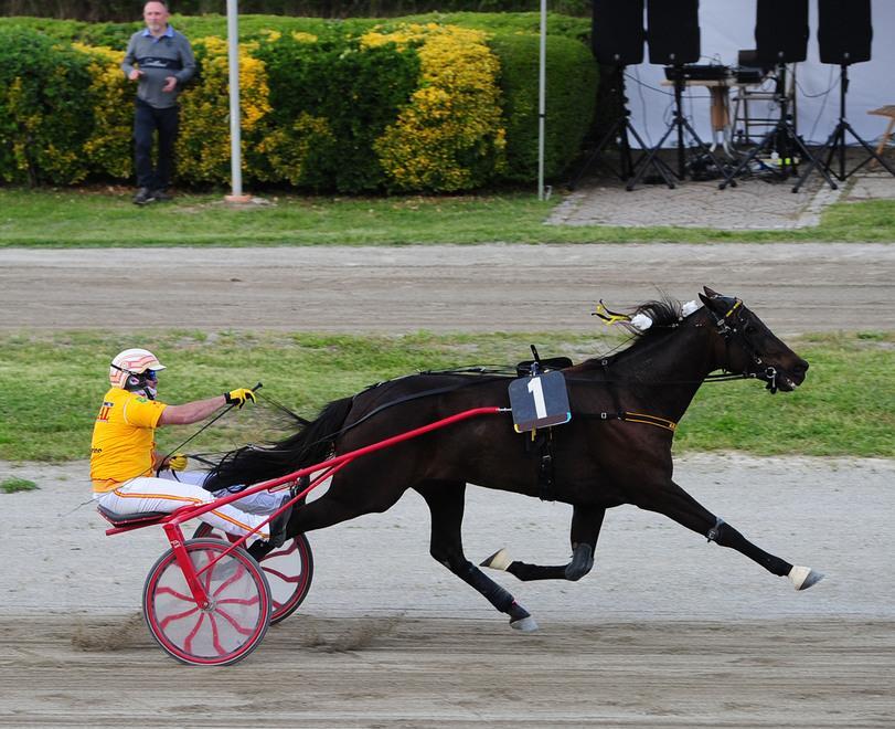 Arazi Boko da dominatore nel “Gran Premio Orlandi” 