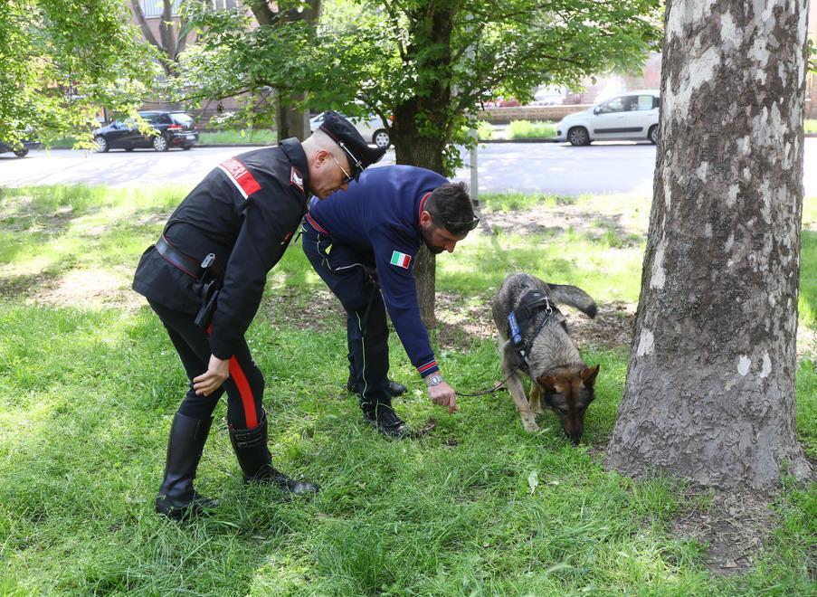Contrasto allo spaccio Denunciato sulle Mura ieri dai carabinieri