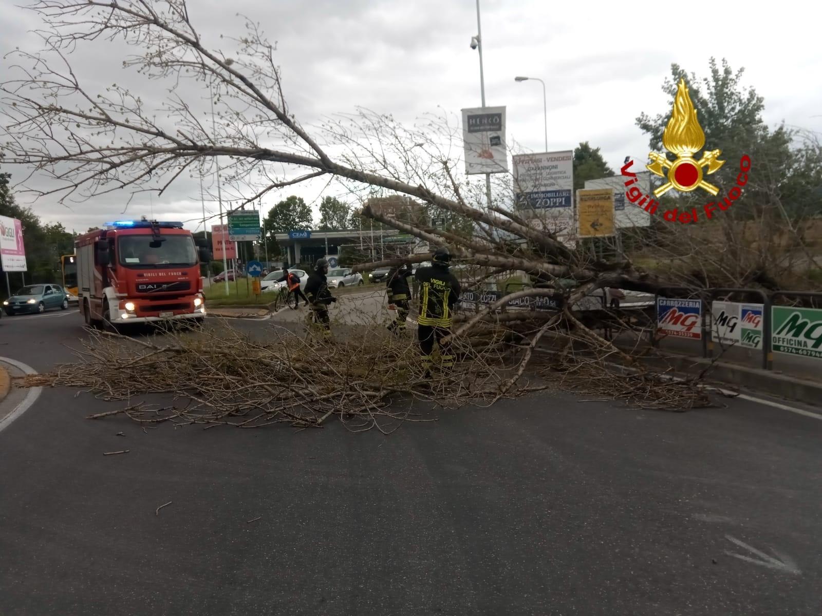 L'intervento dei vigili del fuoco in viale Marconi