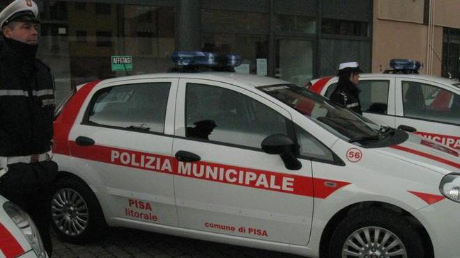 Cani liberi vicino all’ospedale, multato il padrone