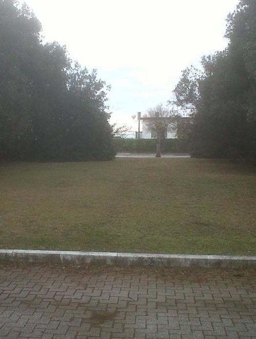 «Sì, creiamo nuovi posti auto» 