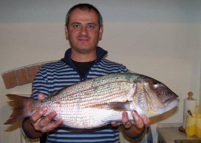 Amore per la pesca e per il cibo italiano