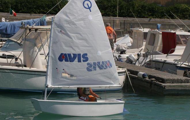 Avis, impennata nelle donazioni: superata quota 700 