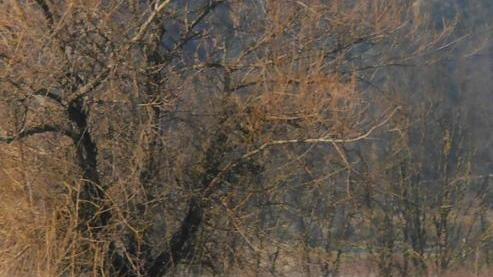 Fanno esplodere la bomba trovata dopo una frana