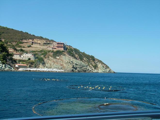 Gorgona, fare chiarezza sui fusti tossici 