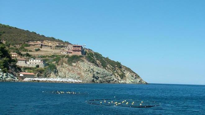 Gorgona, fare chiarezza sui fusti tossici
