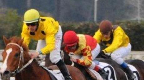Con la Ribot Cup San Rossore respira un’aria europea