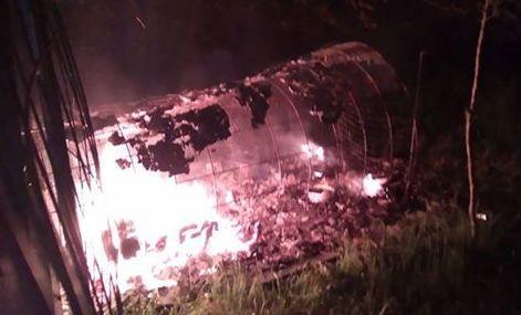 Colonia felina data alle fiamme nella notte, i gatti sono salvi 
