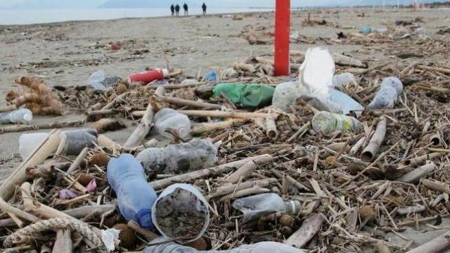 Piatti, bicchieri e posate di plastica banditi da bagni e spiagge toscane
