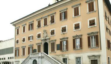 Randagismo, cittadini preoccupati scrivono al sindaco 