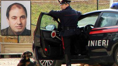 Ucciso dai cani, quel corpo straziato nel piazzale dei Tir