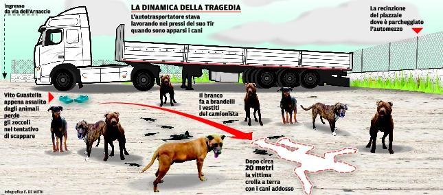 Camionista ucciso dai cani, tre indagati per omicidio colposo 