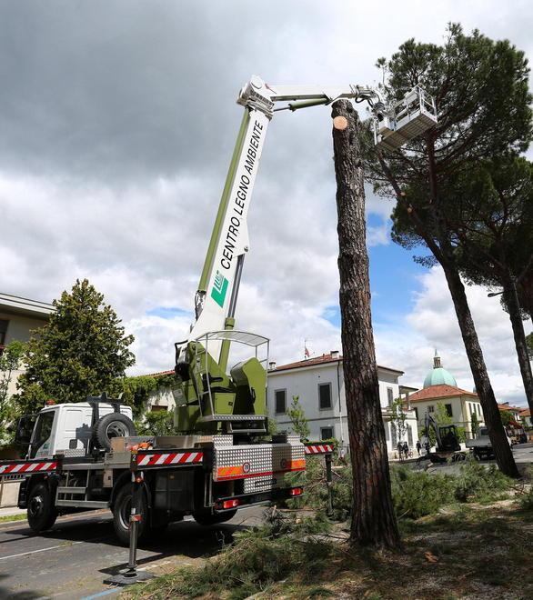 Via al taglio dei pini 