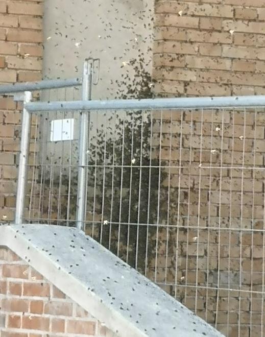 Oggi l’ultimo saluto all’ex presidente del Centro anziani 