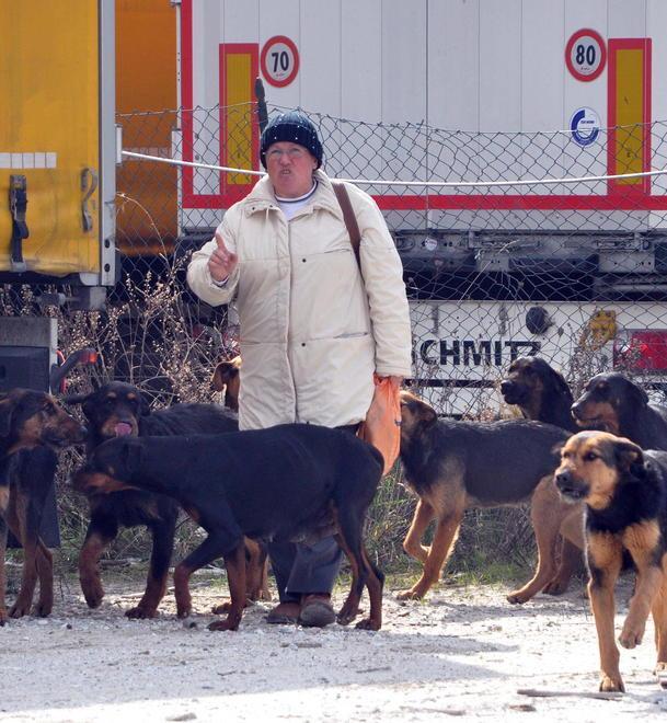 «Erano cani da guardia» Indagato il capo della ditta 