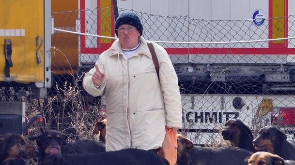 «Erano cani da guardia» Indagato il capo della ditta