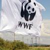 Italia nostra e Wwf impugnano la sentenza Tar 