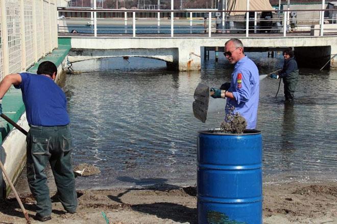 Allarme ambiente, torna la paraffina&nbsp;sugli scogli della&nbsp;Terrazza Mascagni 