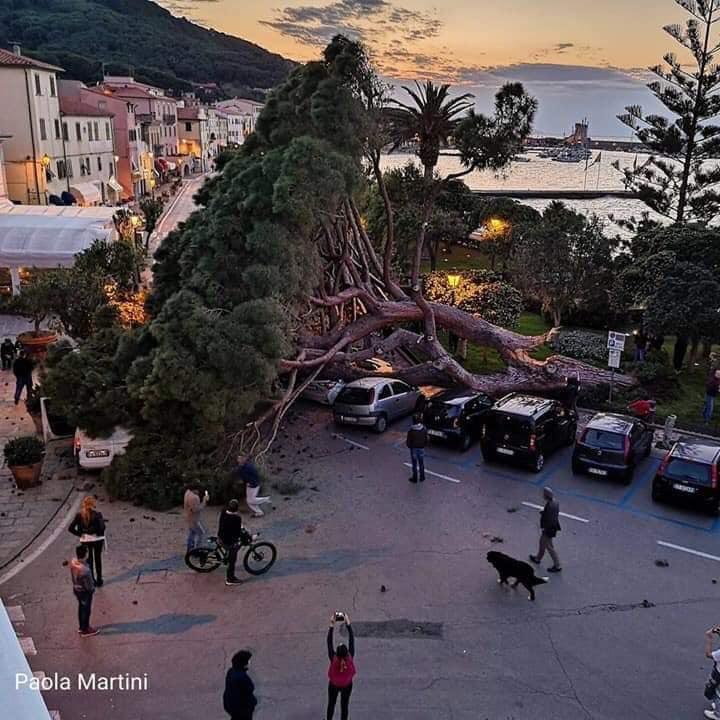 Foto di Paola Martini postata su Sei dell'Elba se...