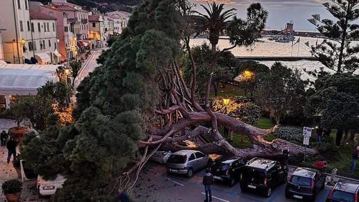 Foto di Paola Martini postata su Sei dell'Elba se...