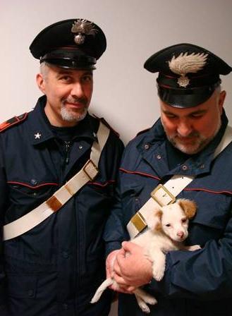 Cucciolo gettato nei rifiuti, lo salva una passante 