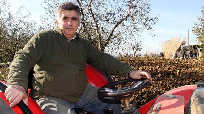 Qui Di Pietro vota Pd Baglioni non canta e la D’Addario lavora
