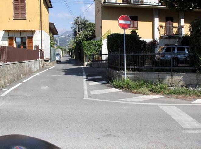 Suv assassino, dai pollini un aiuto agli investigatori 