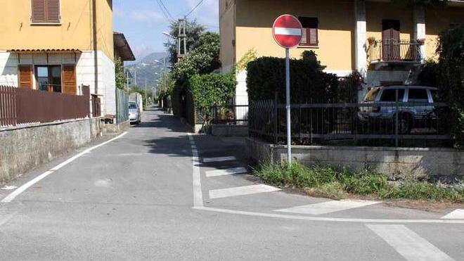 Suv assassino, dai pollini un aiuto agli investigatori