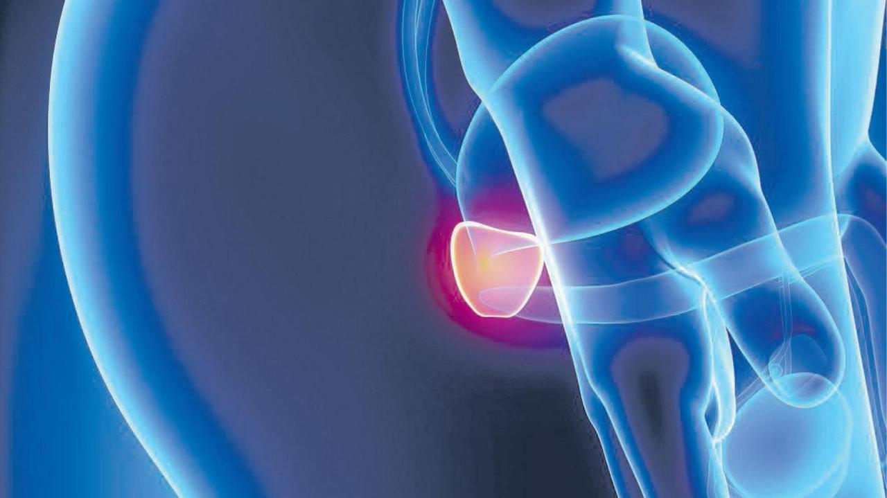 La prostata, questa (incredibile) sconosciuta: come si prevengono infiammazioni e tumori