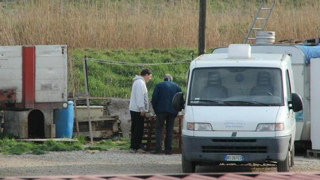 Cane killer ancora libero «Si rischiano altre vittime» 