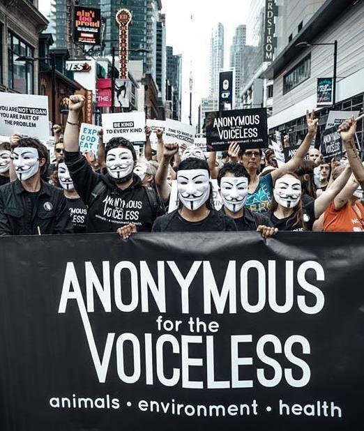 Attivisti di Anonymous in piazza per gli animali