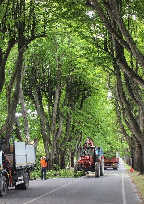 Viale Apua sempre aperto nel weekend