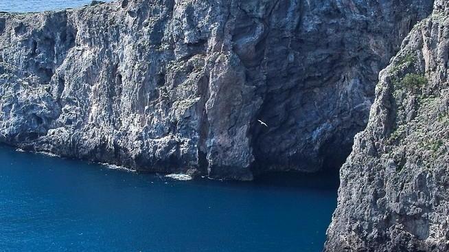 Via plastiche e rifiuti Sabato maxigiornata di pulizia dei fondali