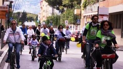 Metti una giornata in bici alla scoperta di Livorno