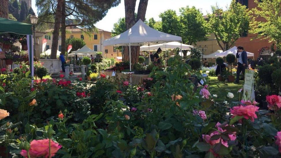 La festa del borgo invaso da fiori e piante