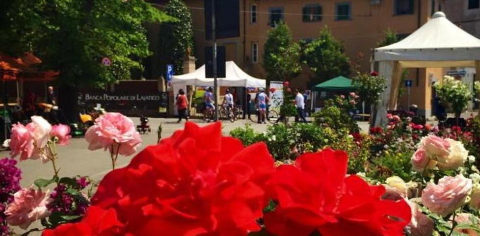 Fiori e Brunelleschi: il Castello e la Rocca di Vicopisano diventano un giardino 
