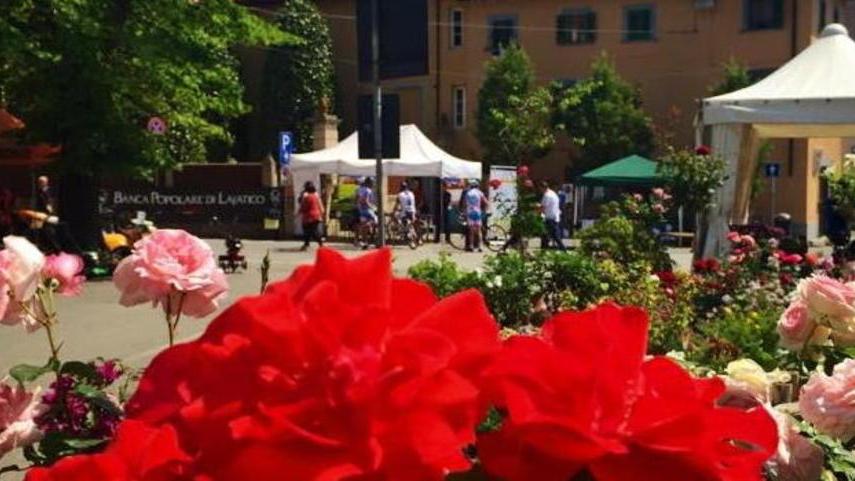 Fiori e Brunelleschi: il Castello e la Rocca di Vicopisano diventano un giardino