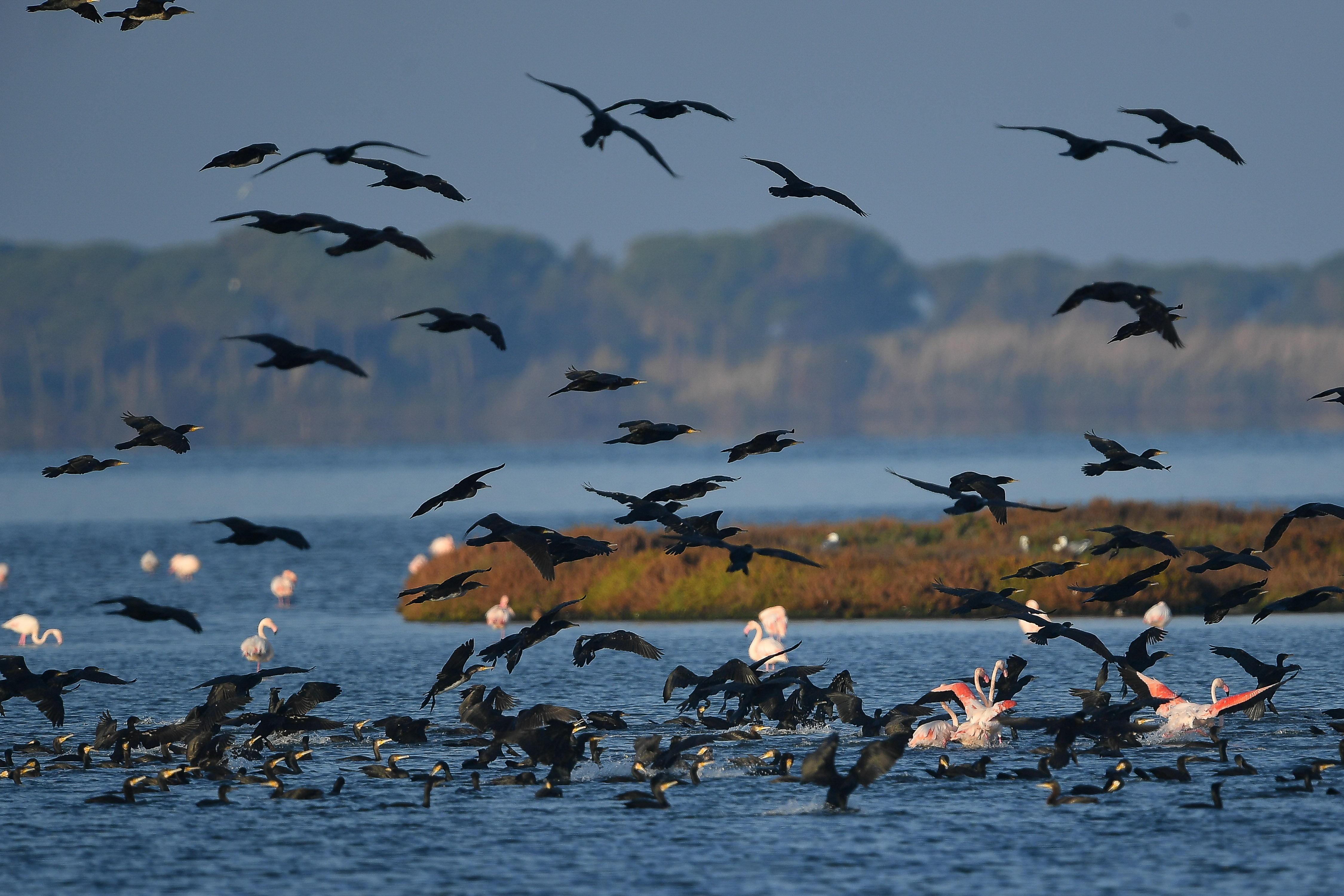 Un'immagine della laguna di Orbetello
