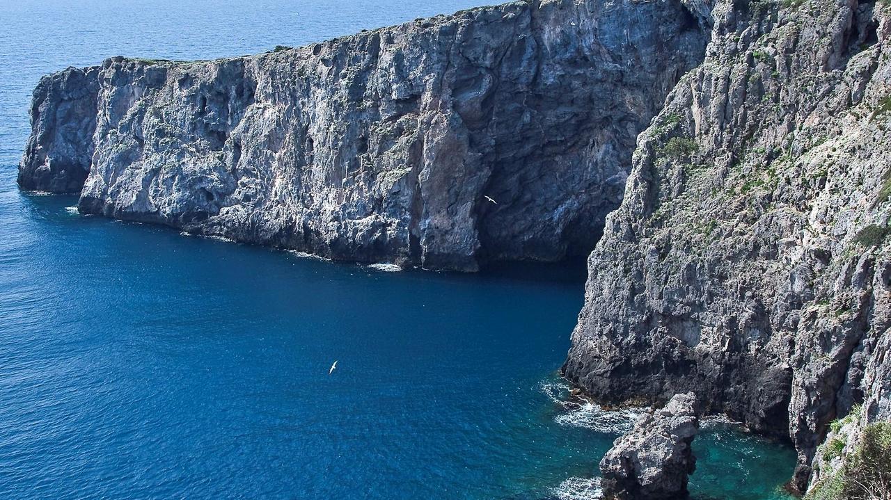 Isola di Giannutri