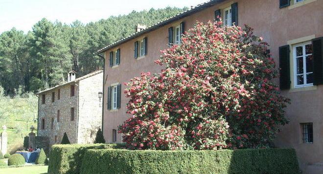 Fioritura delle camelie a rischio per un fungo 