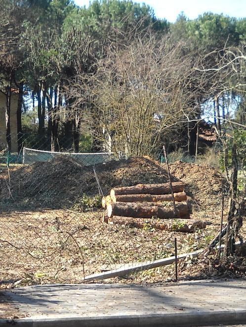 Incendiato il bagno della Finanza 