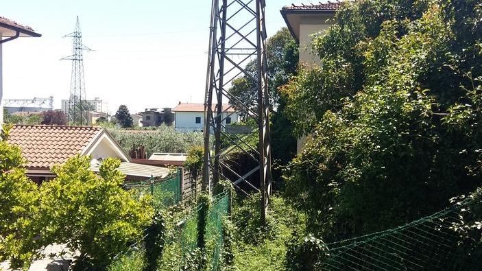 Vivere accanto a una foresta Il caso dell’area dell’Enel