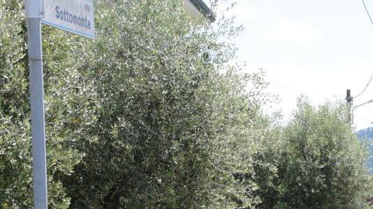 La strada fantasma a Massarosa che non si trova nello stradario