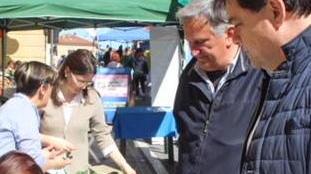 Autografate le altalene volanti che orneranno centro e Tonfano