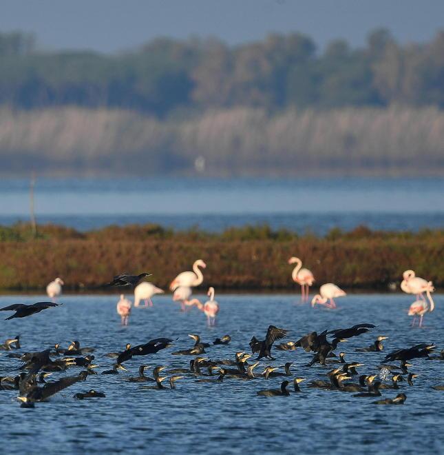 Con laboratori e tour la festa delle oasi Wwf è un viaggio alla scoperta di scienza e biodiversità