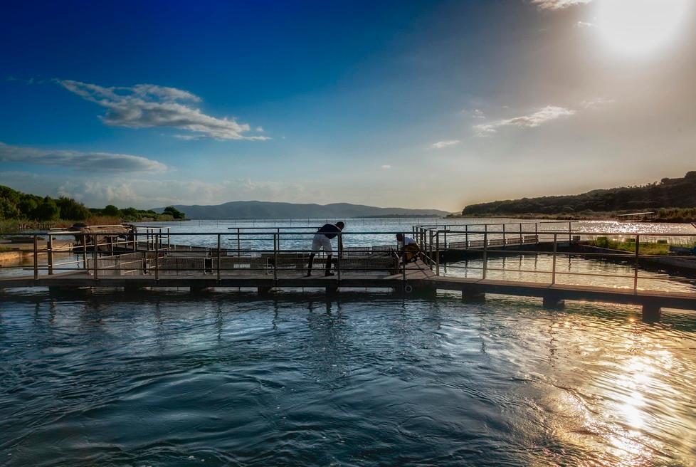Venti lettori alla scoperta della Laguna di Orbetello e dei segreti della storica Peschiera