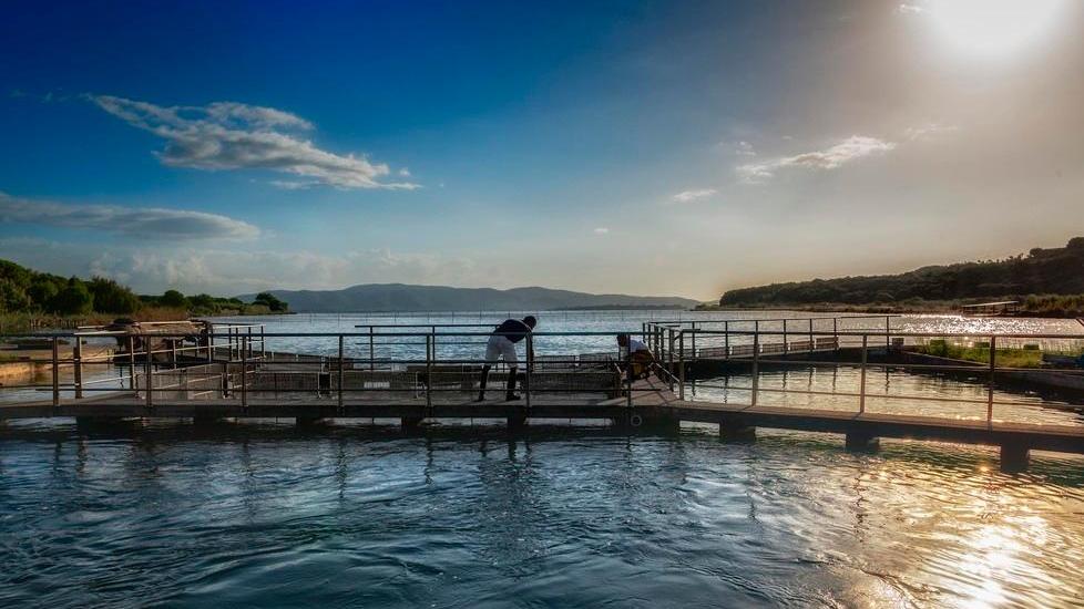 Venti lettori alla scoperta della Laguna di Orbetello e dei segreti della storica Peschiera