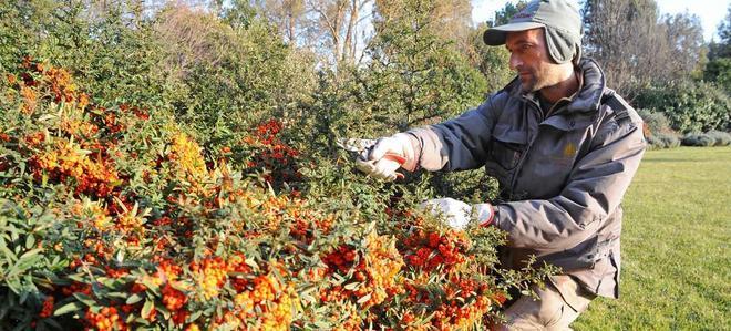 Stangate, burocrazia e pregiudizi le aziende agricole non reggono 