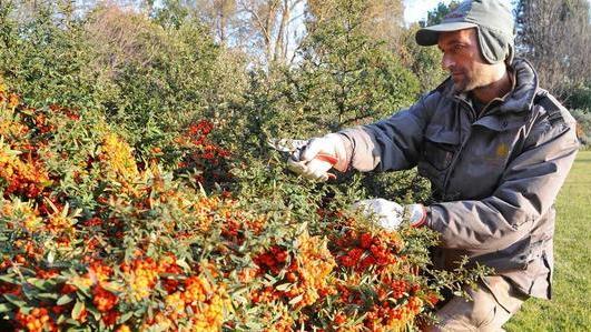 Stangate, burocrazia e pregiudizi le aziende agricole non reggono