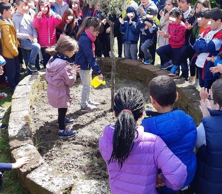 Un albero a scuola in memoria del maestro